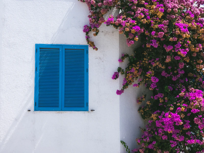 Façade blanche aux volets bleus et bougainvillier, style méditerranéen